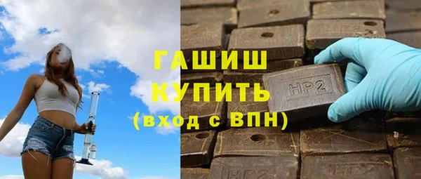 индика Коряжма