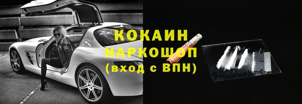 индика Коряжма