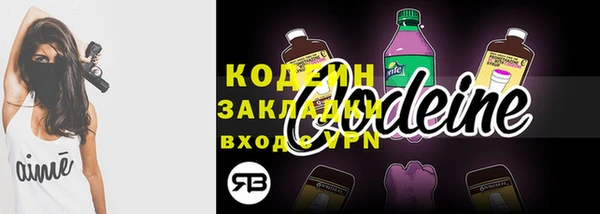 шишки Ессентукская