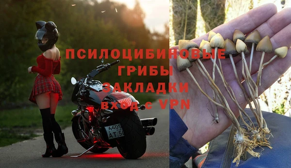 индика Коряжма