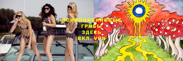 индика Коряжма