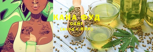 индика Коряжма