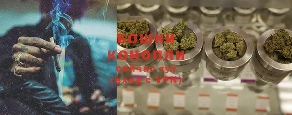 индика Коряжма