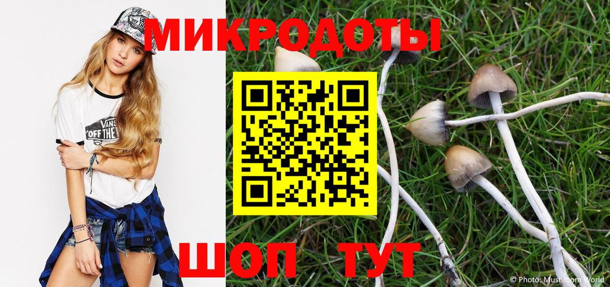 Галлюциногенные грибы MAGIC MUSHROOMS Удомля